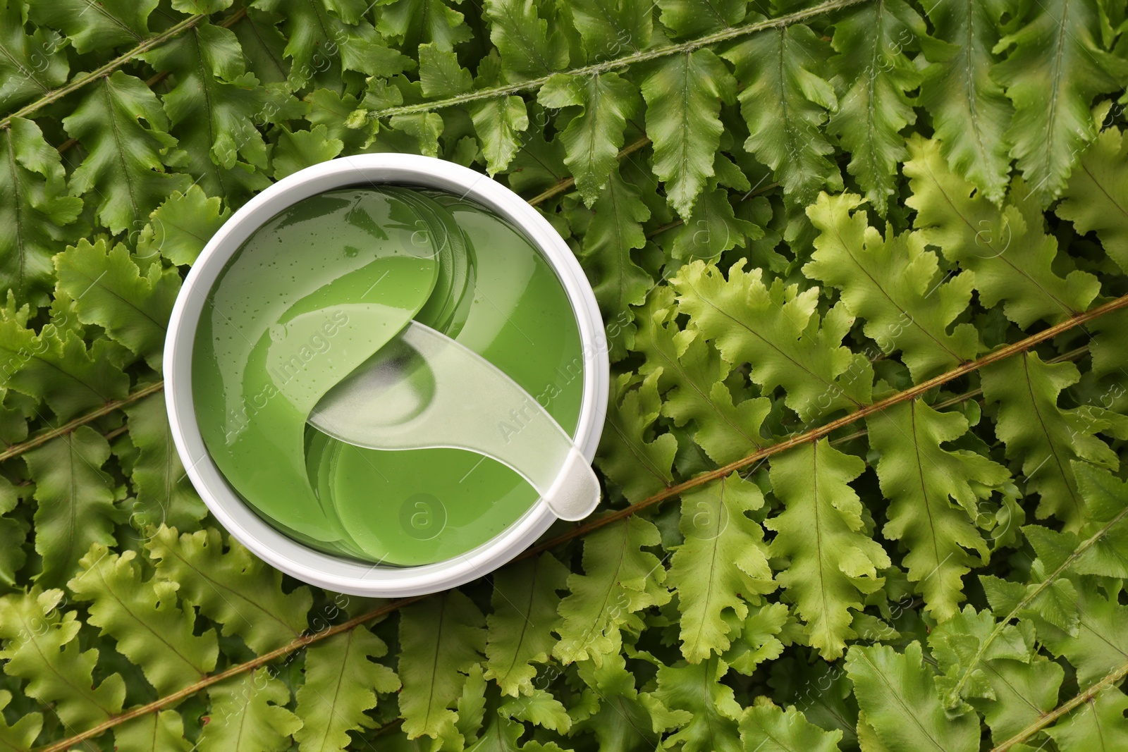 Photo of Jar of under eye patches with spoon on green fern leaves, top view and space for text. Cosmetic product