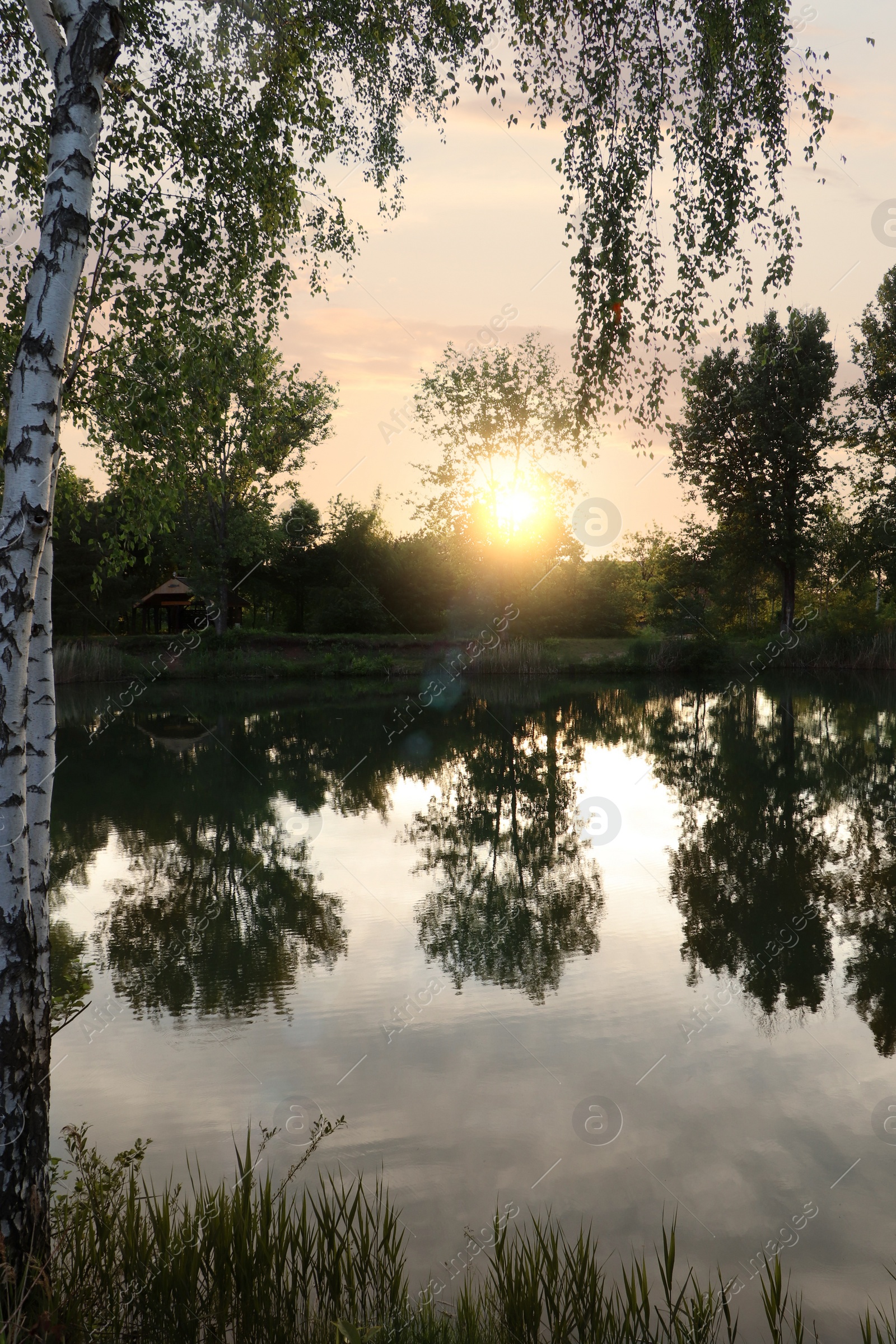 Photo of Picturesque view of lake at sunrise. Morning landscape