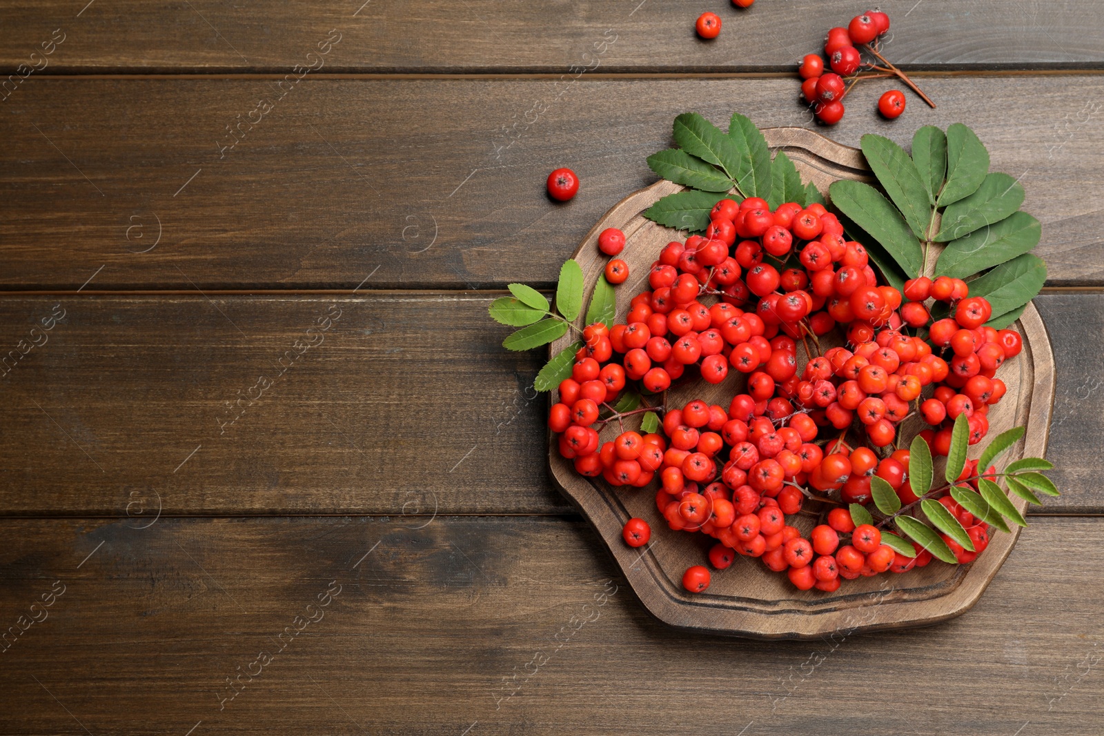Photo of Fresh ripe rowan berries and leaves on wooden table, flat lay. Space for text