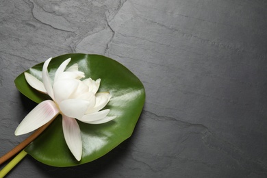 Photo of Beautiful white lotus flower with green leaf on grey table, flat lay. Space for text