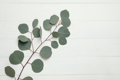 Eucalyptus branch with fresh green leaves on white wooden table, top view. Space for text