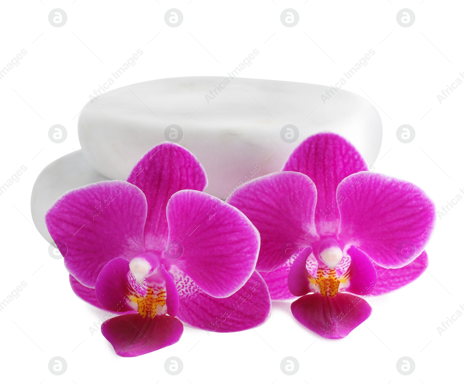 Photo of Spa stones and orchid flowers on white background