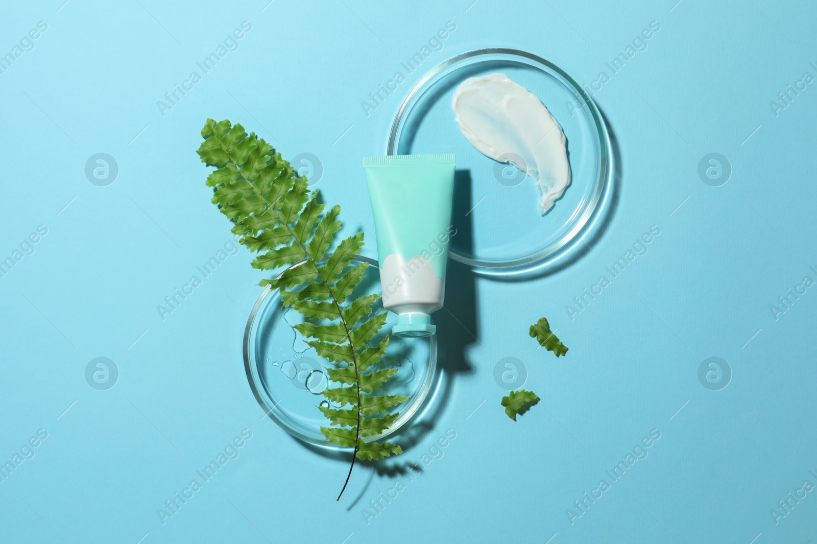 Photo of Flat lay composition with Petri dishes on light blue background