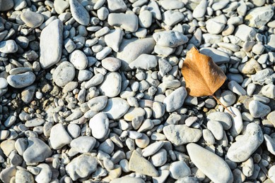 Photo of Fallen leaf on pile of stones outdoors
