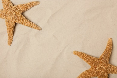 Photo of Starfishes on beach sand, top view with space for text