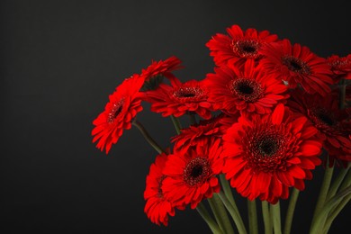 Photo of Bouquet of beautiful red gerbera flowers on black background