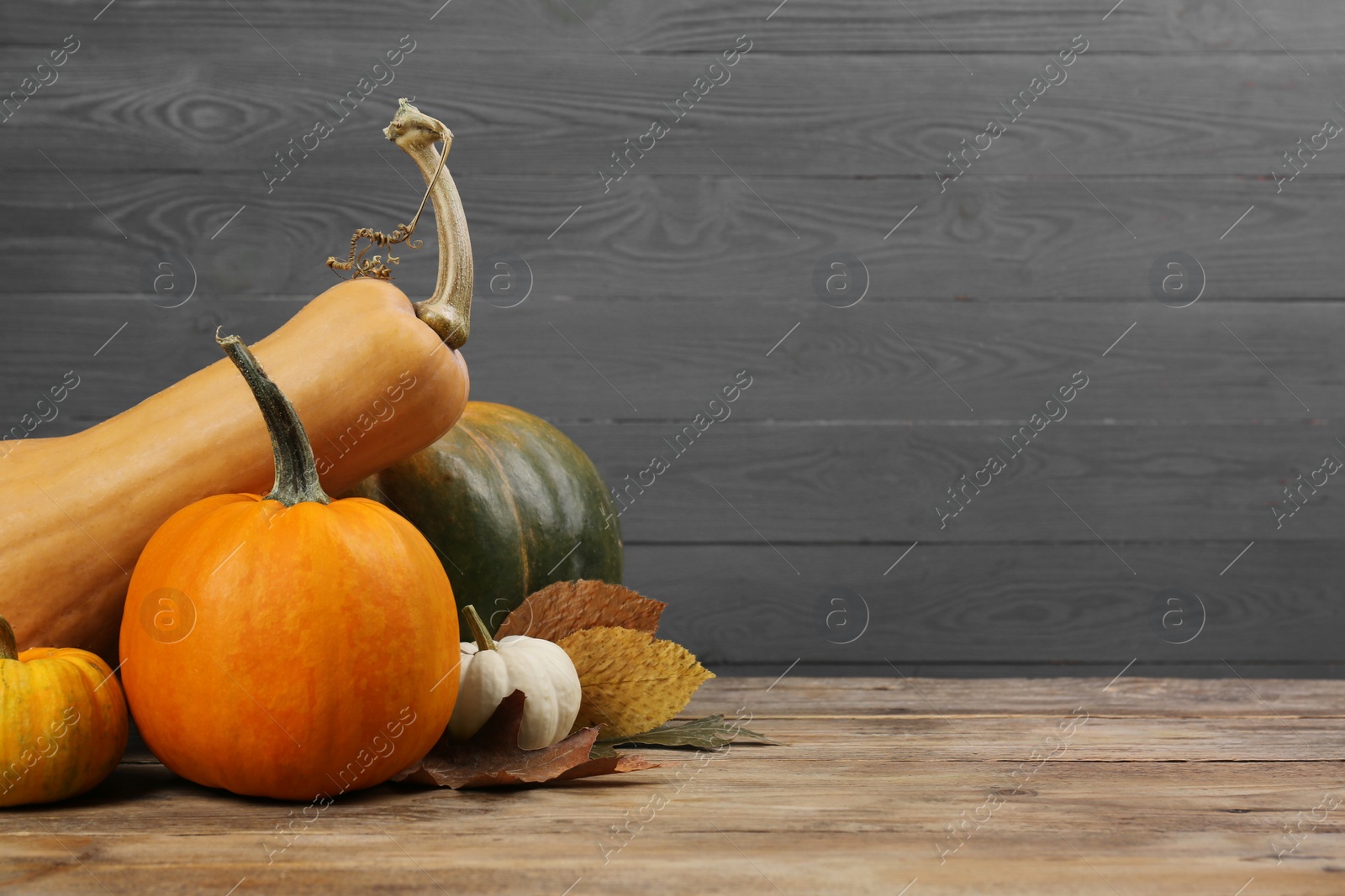 Photo of Happy Thanksgiving day. Many different pumpkins and leaves on wooden table, space for text