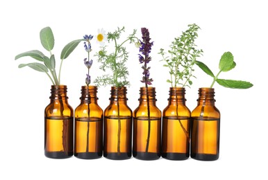 Photo of Many bottles with essential oils and plants isolated on white