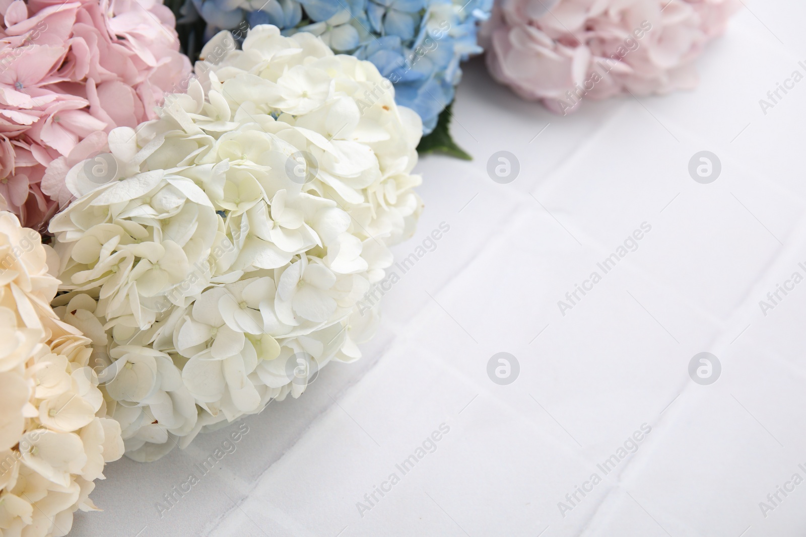 Photo of Beautiful hydrangea flowers on white tiled background, closeup. Space for text