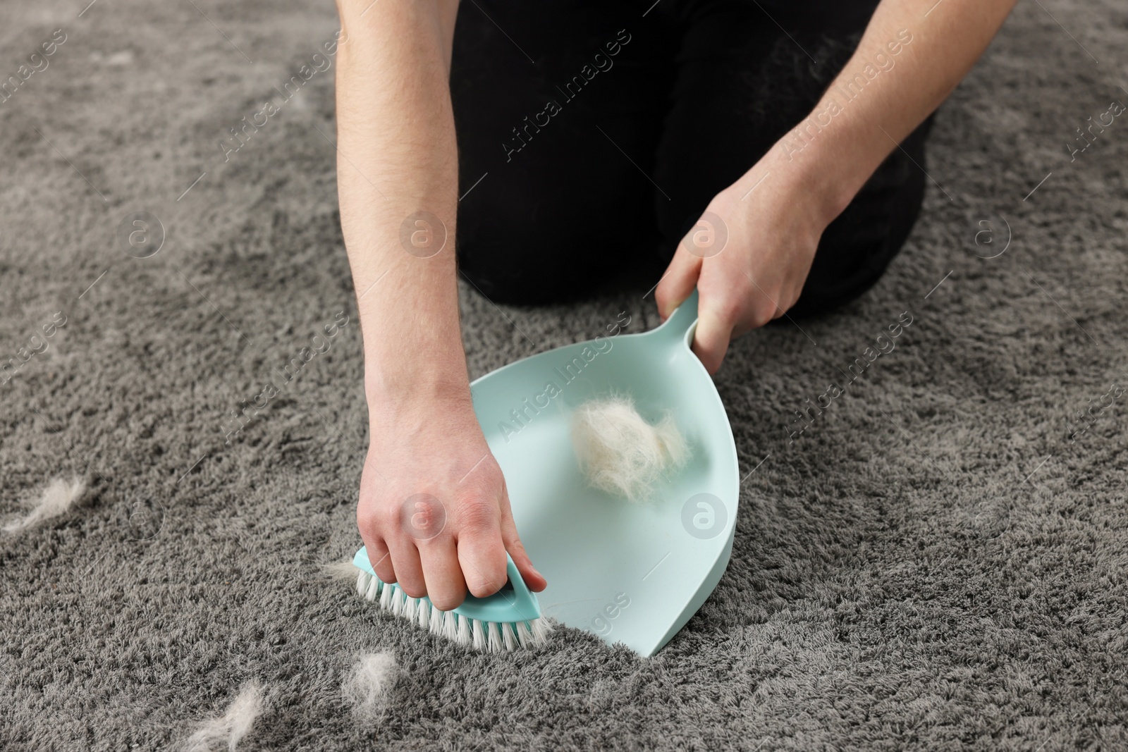 Photo of Man with brush and pan removing pet hair from carpet, closeup