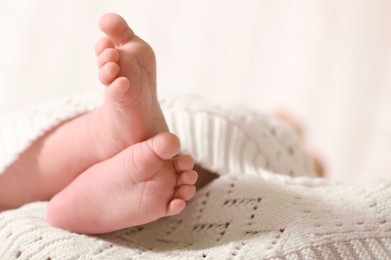 Cute newborn baby lying on white knitted plaid, closeup of legs. Space for text