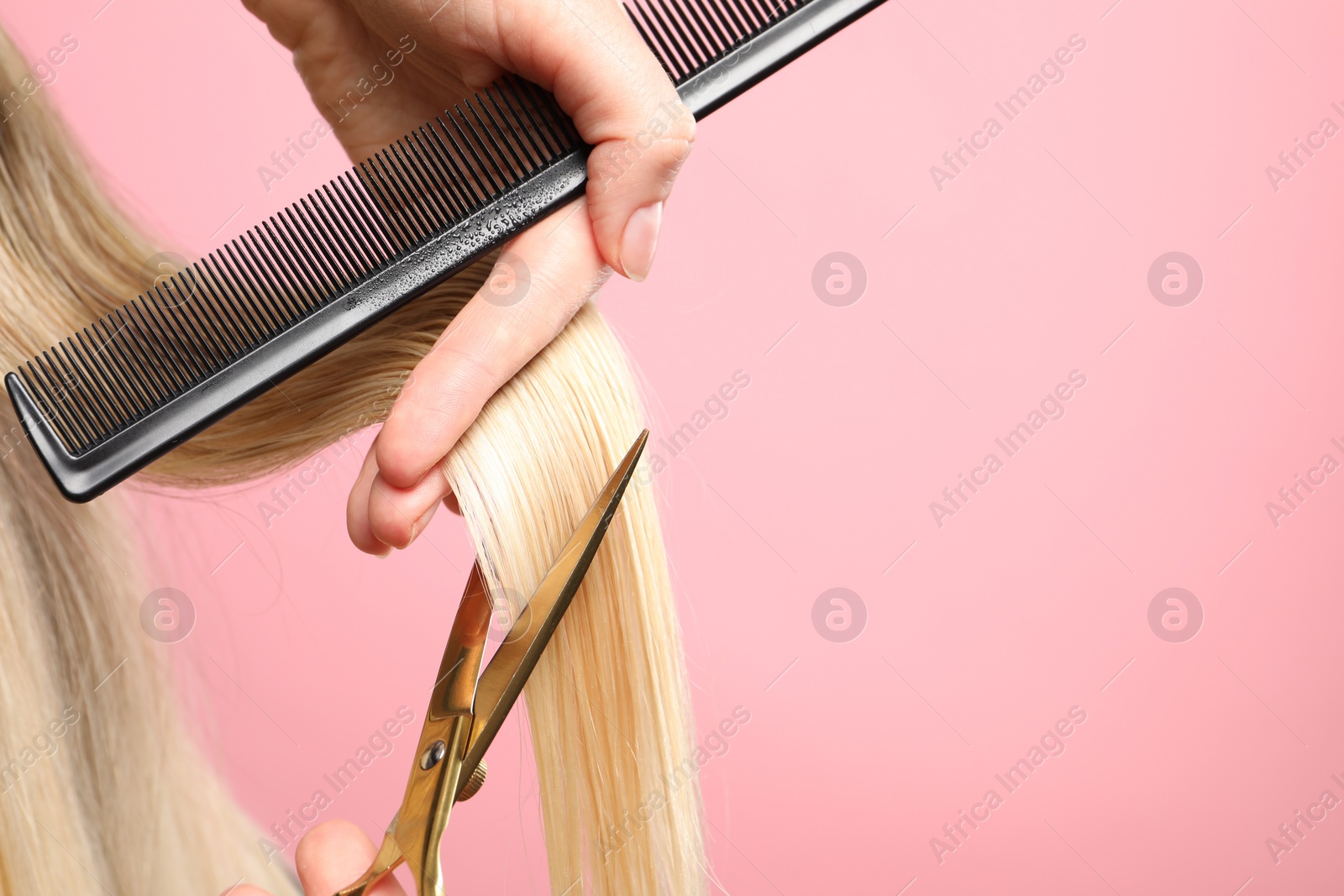 Photo of Hairdresser cutting client's hair with scissors on pink background, closeup. Space for text