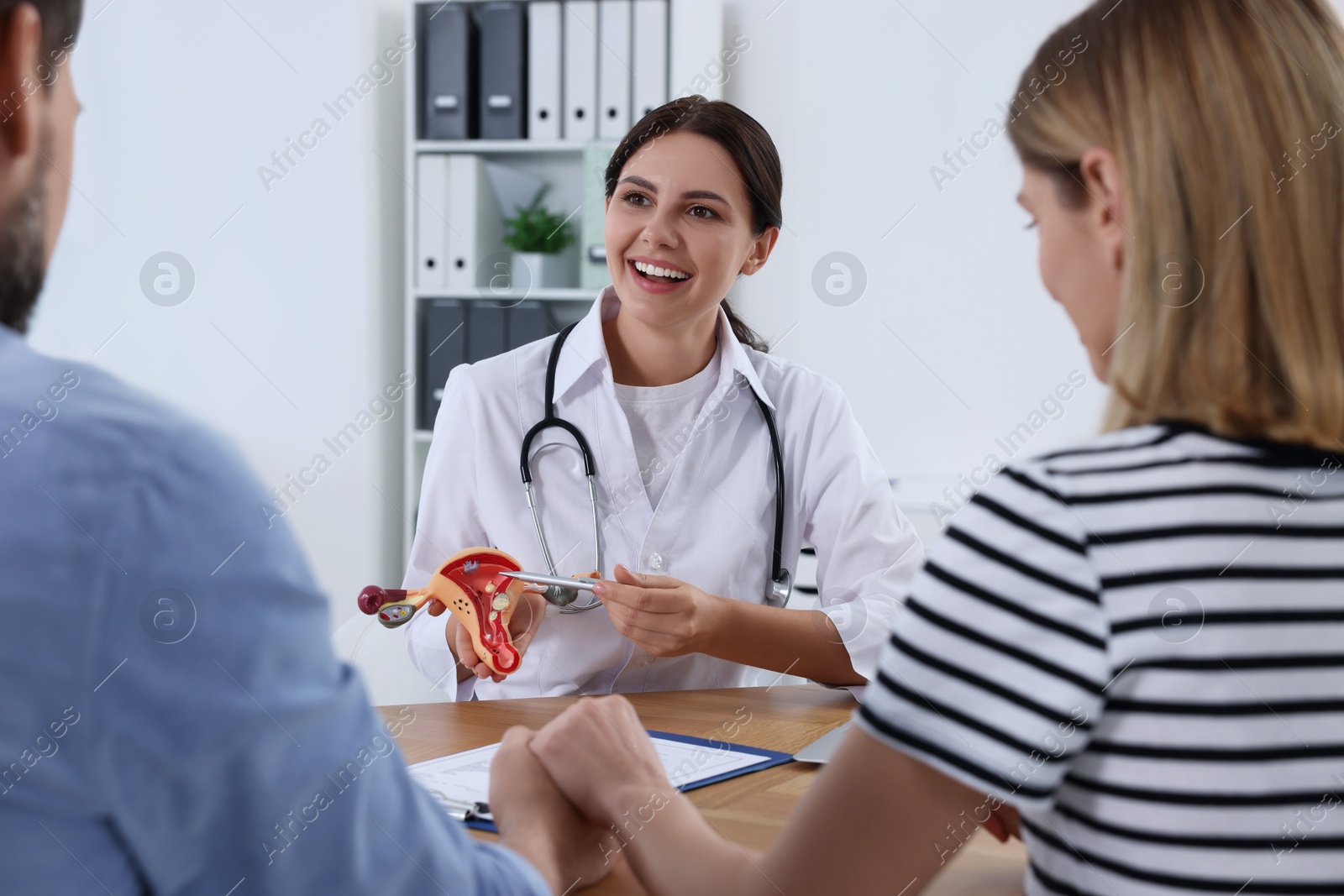 Photo of Fertility doctor demonstrating model of female reproductive system to couple in clinic. Patient consultation