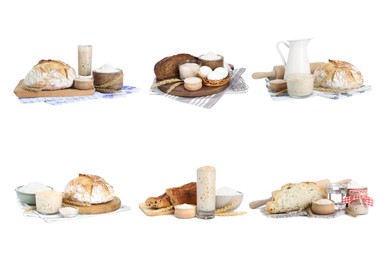 Image of Collage with sourdough starter and different freshly baked bread isolated on white. Leavening agent