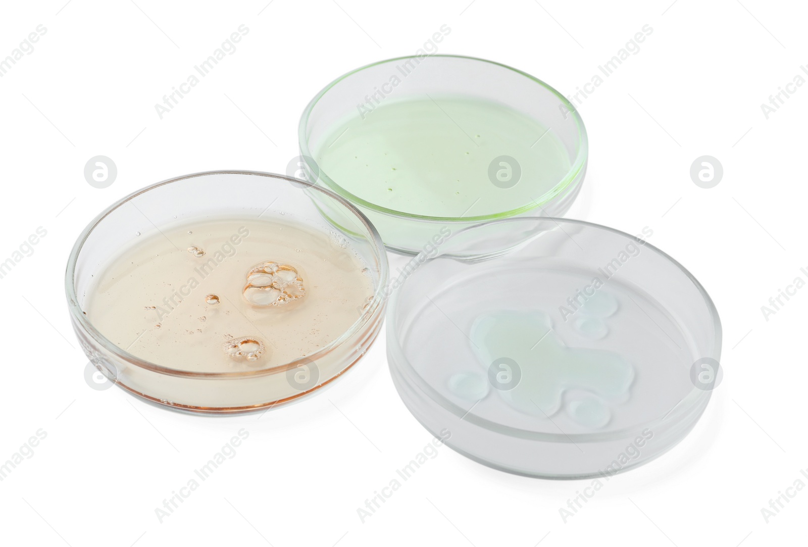 Photo of Petri dishes with different liquids on white background