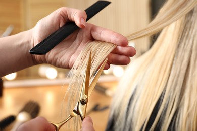 Hairdresser cutting client's hair with scissors in salon, closeup