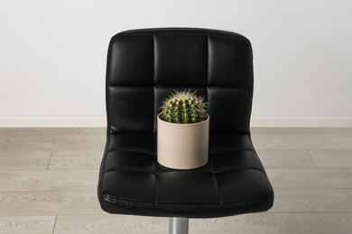 Chair with cactus near white wall. Hemorrhoids concept