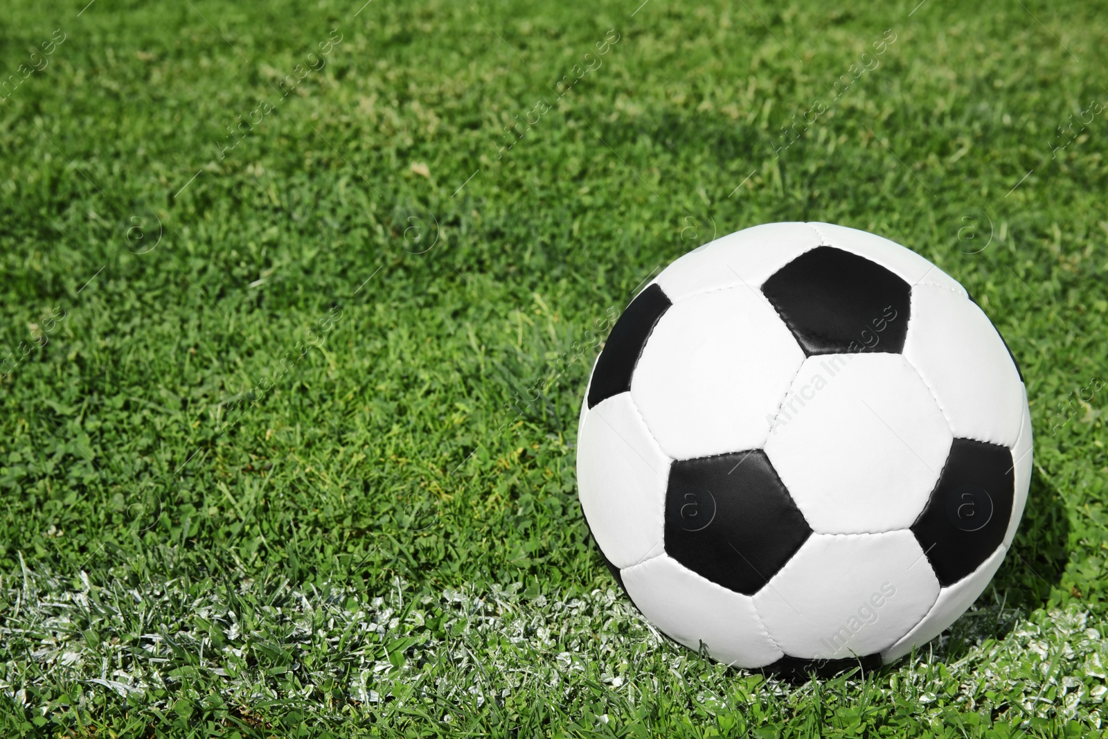 Photo of Soccer ball on fresh green football field grass. Space for text