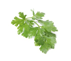 Photo of Sprig of fresh green parsley leaves isolated on white