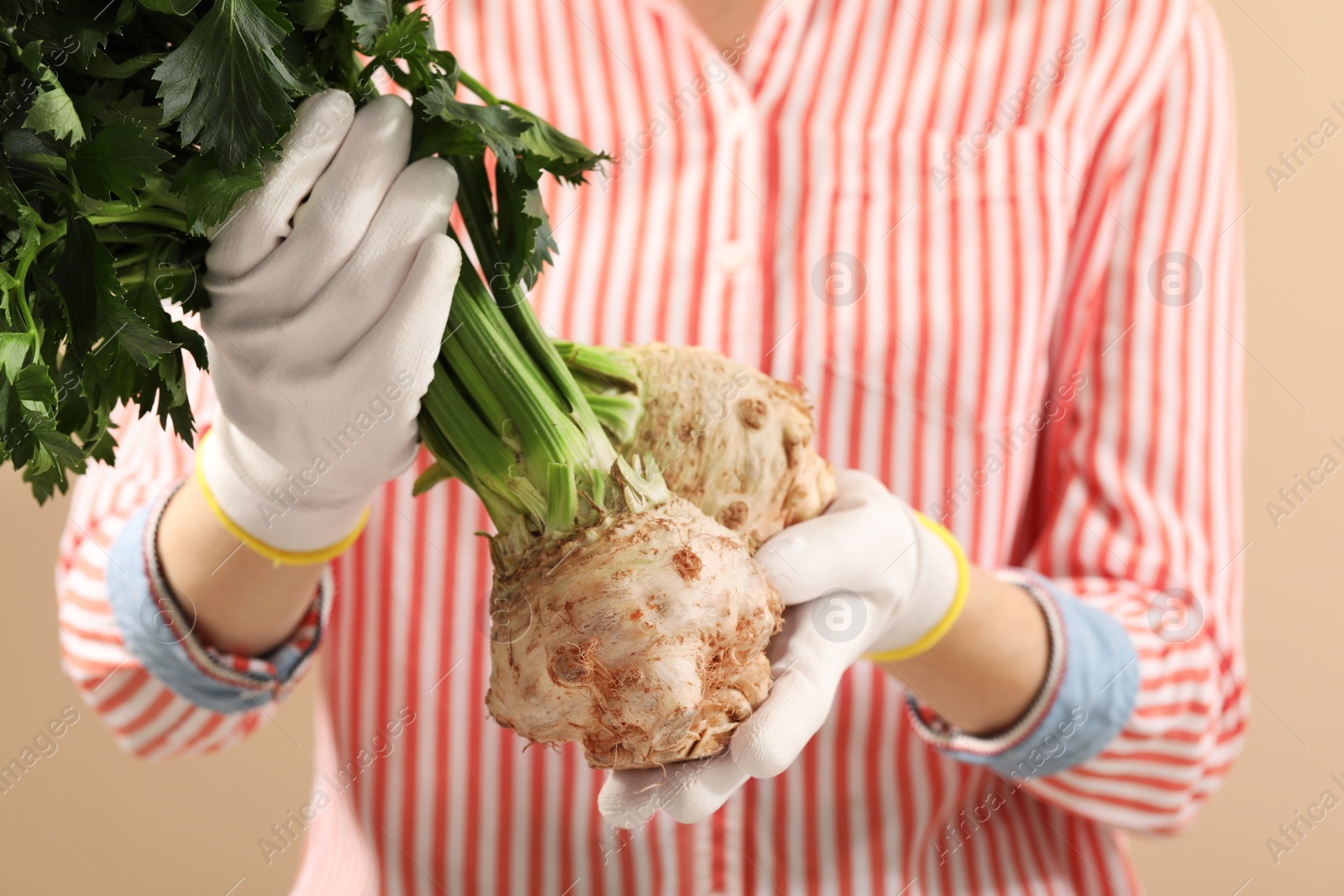 Photo of Woman holding raw celery roots on beige background, closeup