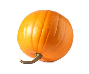 Photo of One fresh orange pumpkin isolated on white