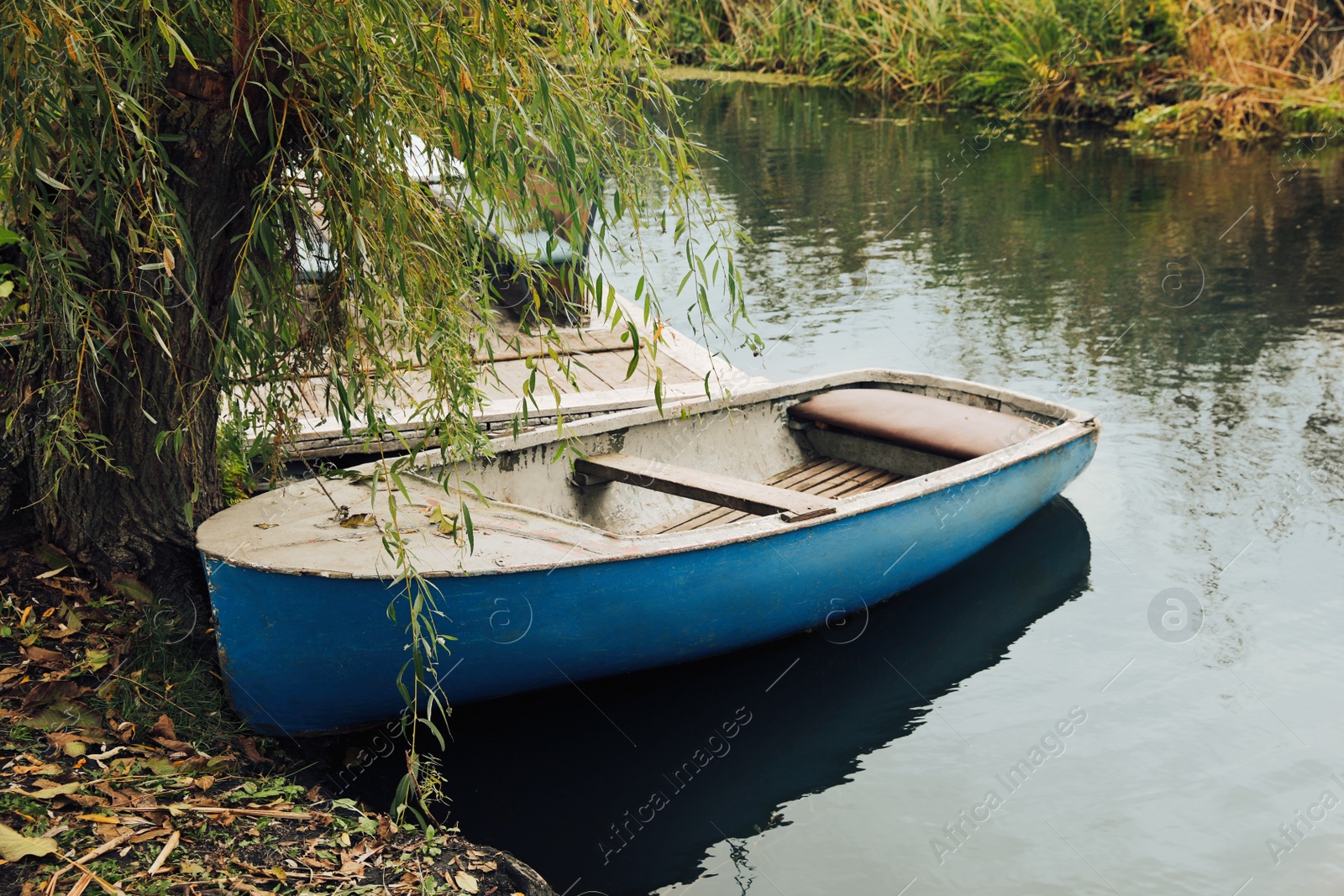 Photo of Light blue wooden boat on lake near pier