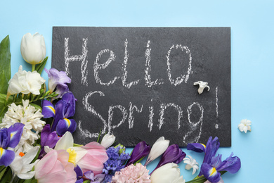 Photo of Board with words HELLO SPRING and fresh flowers on light blue background, flat lay