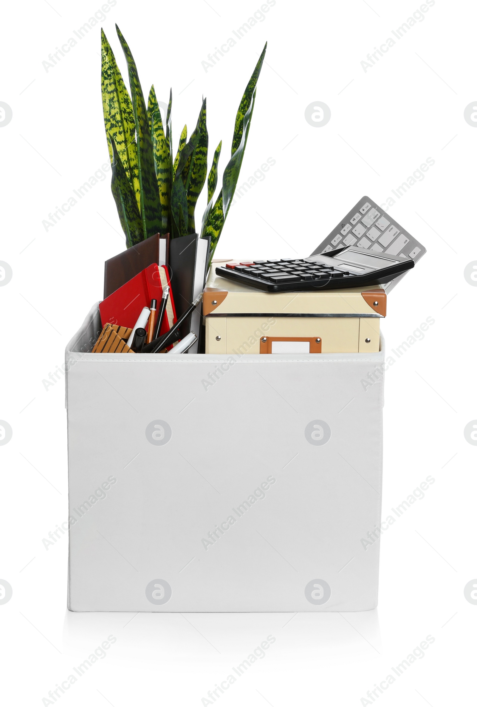 Photo of Moving box with stuff isolated on white. Work promotion concept