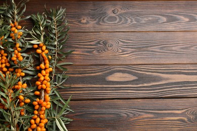 Branches of sea buckthorn on wooden table, flat lay. Space for text