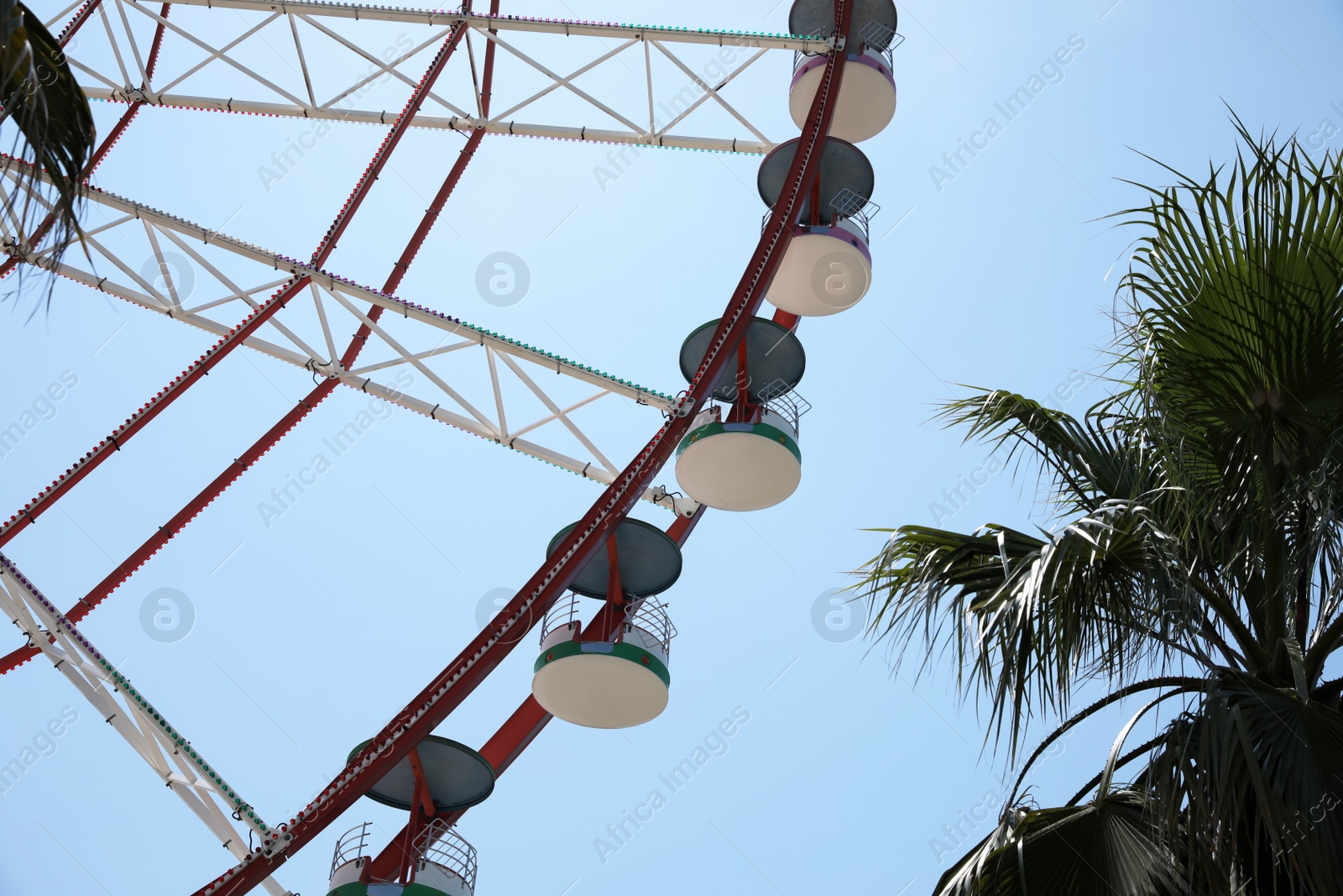 Photo of Beautiful large Ferris wheel and palm tree against blue sky, low angle view