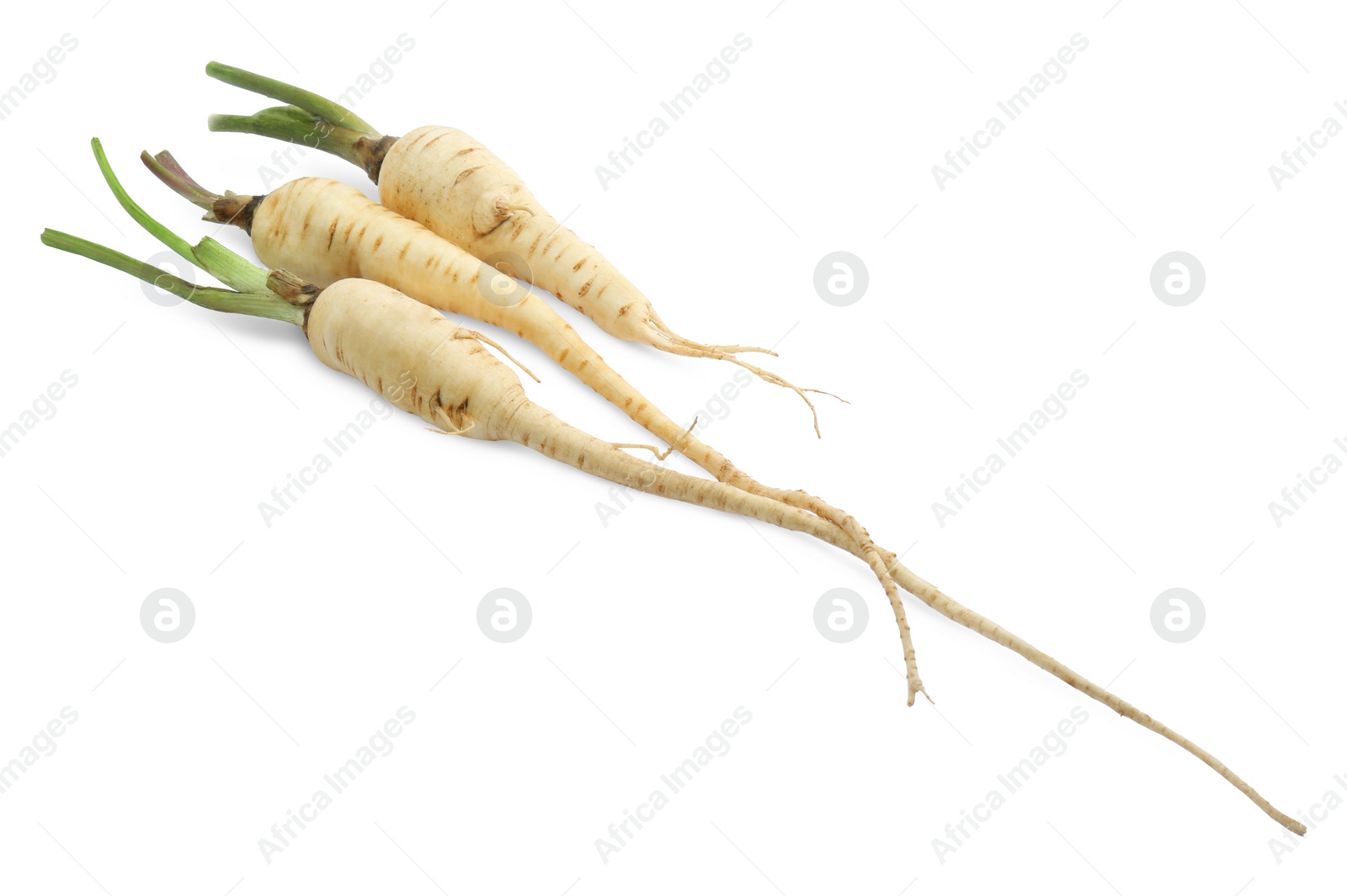 Photo of Tasty fresh ripe parsnips on white background