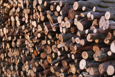 Stack of cut firewood as background, closeup view