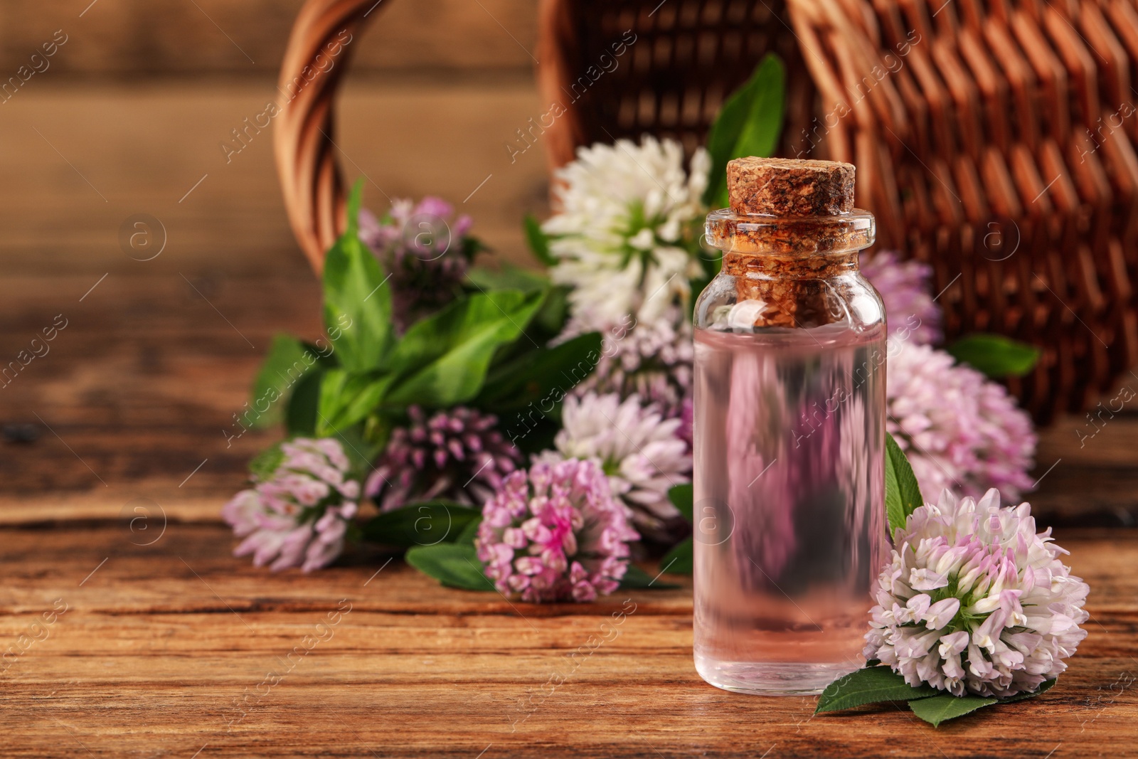 Photo of Beautiful clover flowers and essential oil on wooden table. Space for text