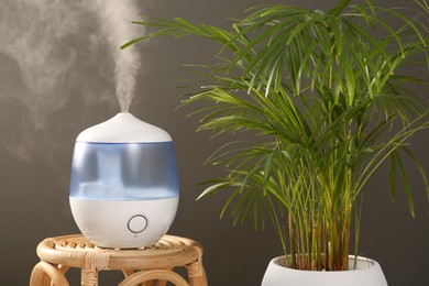 Photo of Air humidifier on wicker table near green houseplant against grey wall