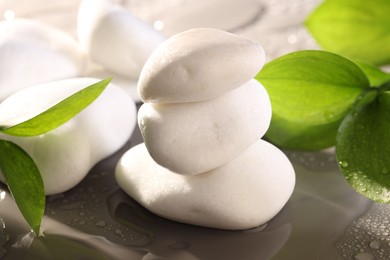 Photo of White spa stones and green leaves in water on grey background