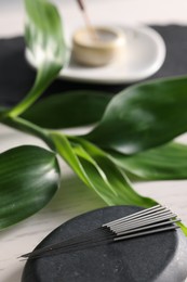 Photo of Acupuncture needles, spa stone and green leaves on white table