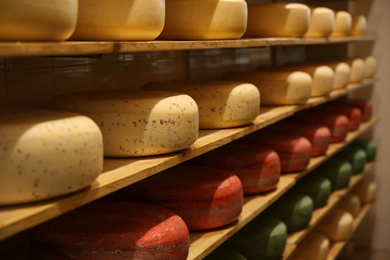 Photo of Fresh cheese heads on shelves in factory warehouse
