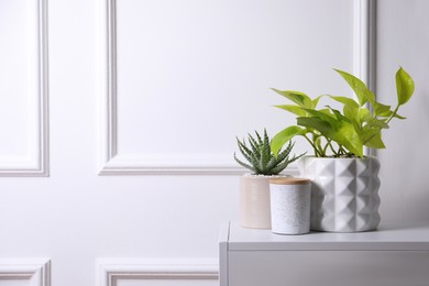 Photo of Beautiful Scindapsus and Aloe in pots on white table, space for text. Different house plants