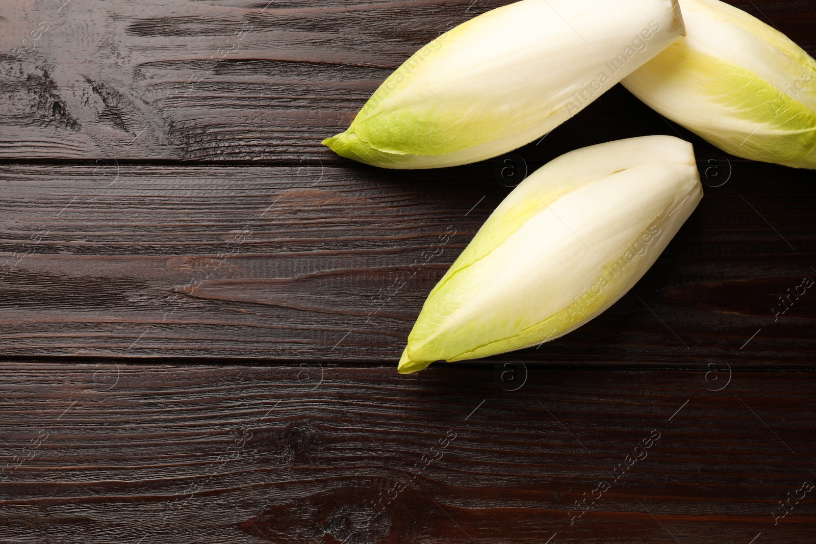 Photo of Raw ripe chicories on wooden table, top view. Space for text