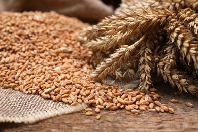 Sack with wheat grains and spikelets on wooden table, closeup