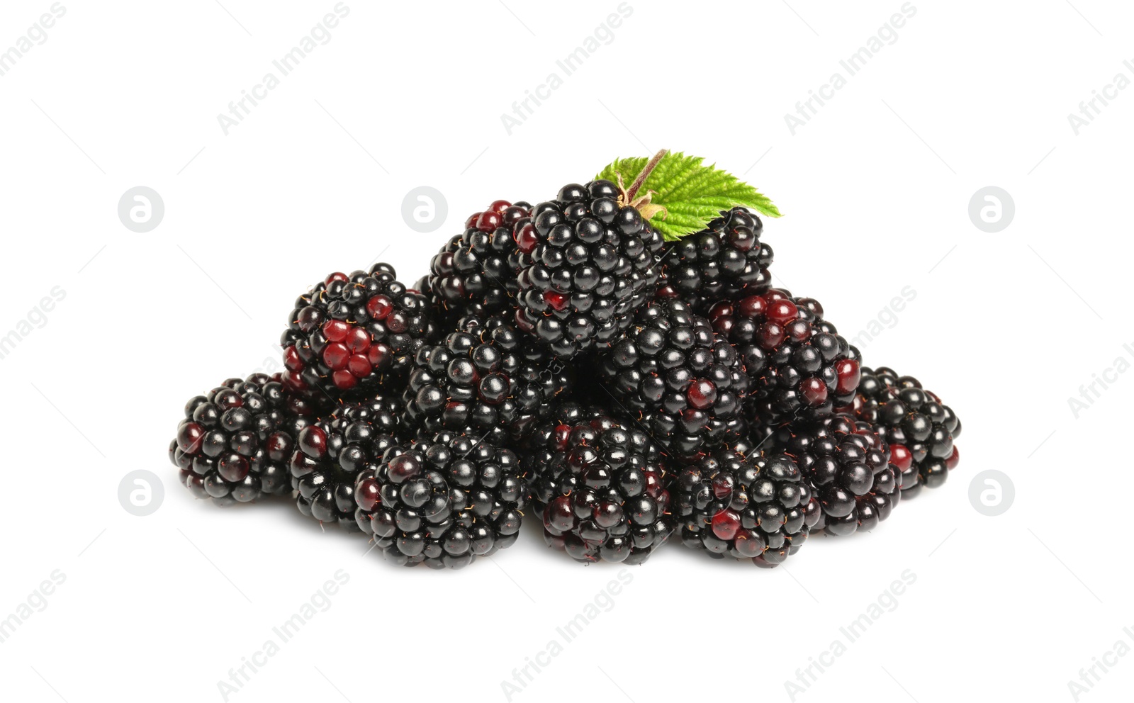 Photo of Pile of ripe blackberries and green leaf isolated on white