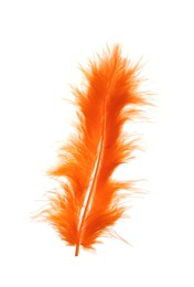 Photo of Fluffy beautiful orange feather isolated on white