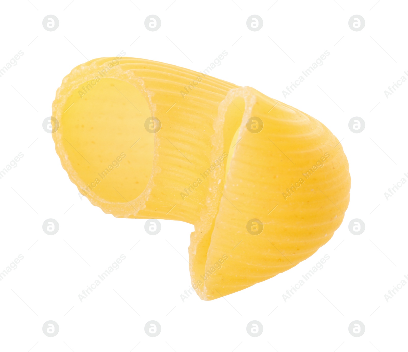 Photo of One piece of raw horns pasta isolated on white