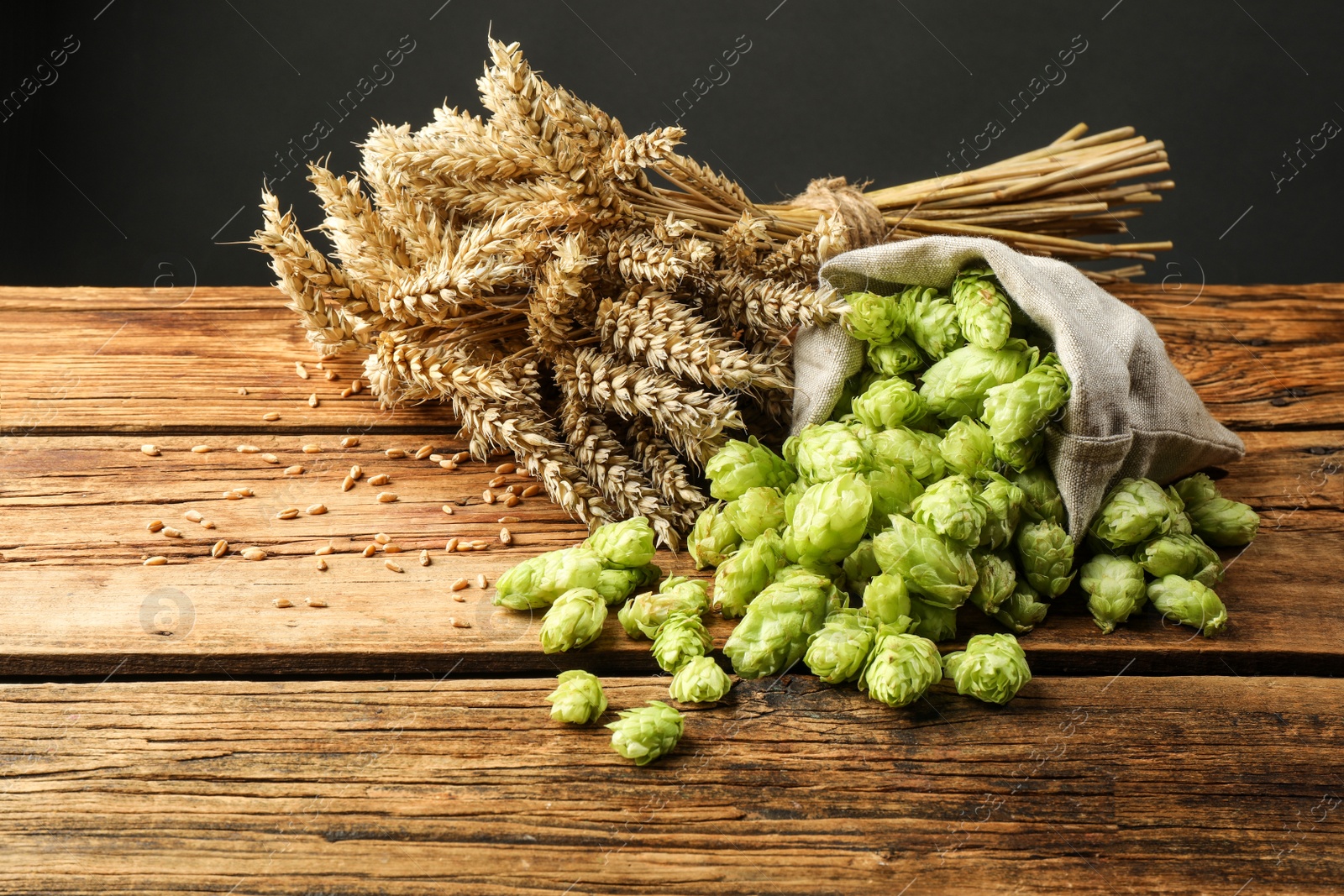 Photo of Overturned sack of hop flowers and wheat ears on wooden table against grey background