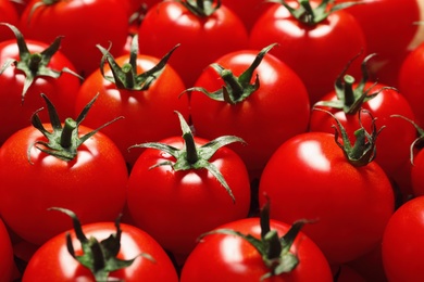 Delicious ripe cherry tomatoes as background, closeup. Organic food