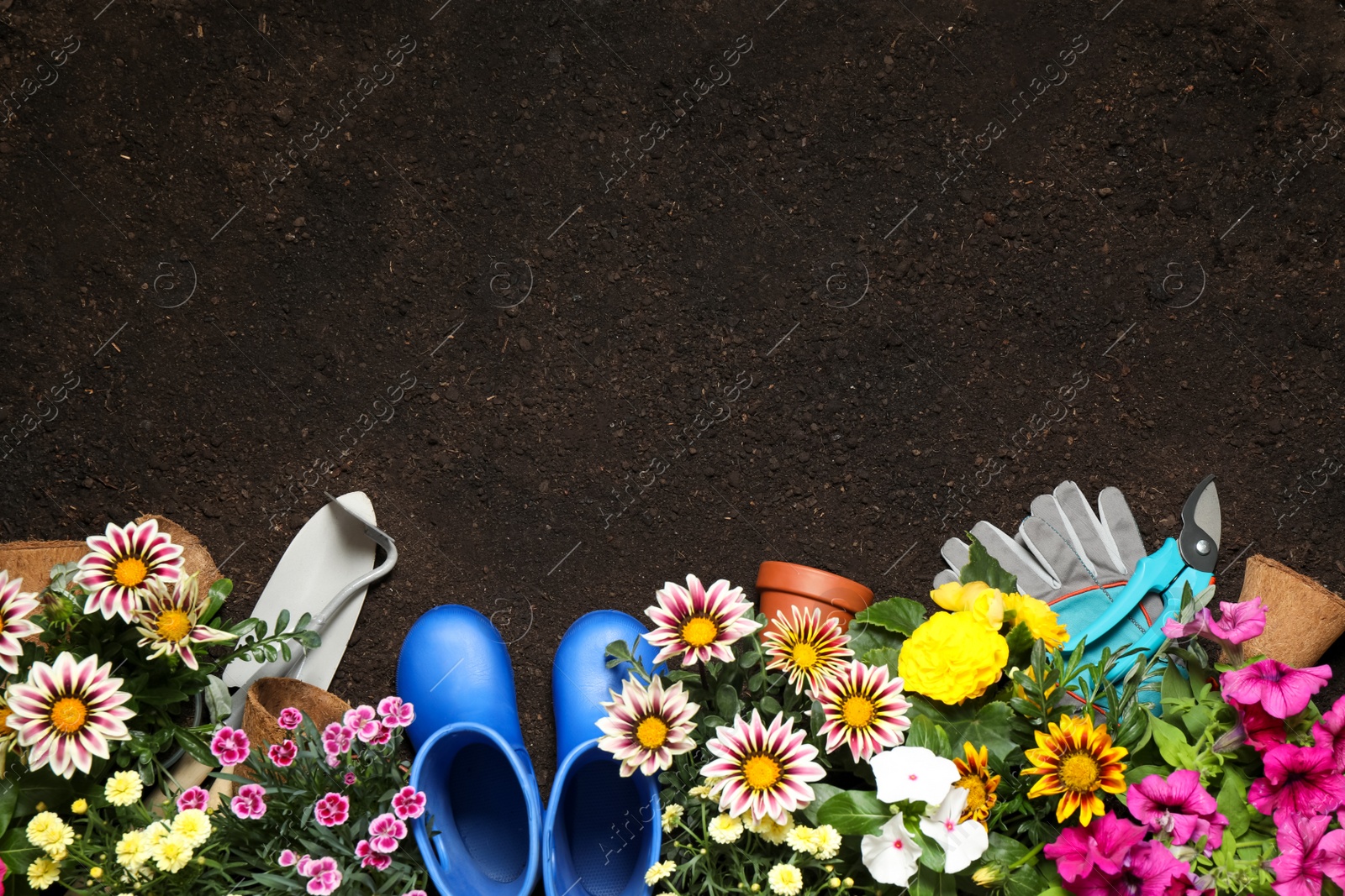 Photo of Flat lay composition with gardening tools and flowers on soil, space for text