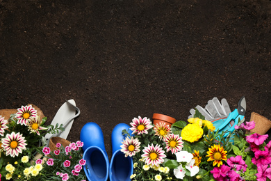 Photo of Flat lay composition with gardening tools and flowers on soil, space for text