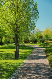 Photo of Picturesque view of beautiful park with fresh green grass and trees