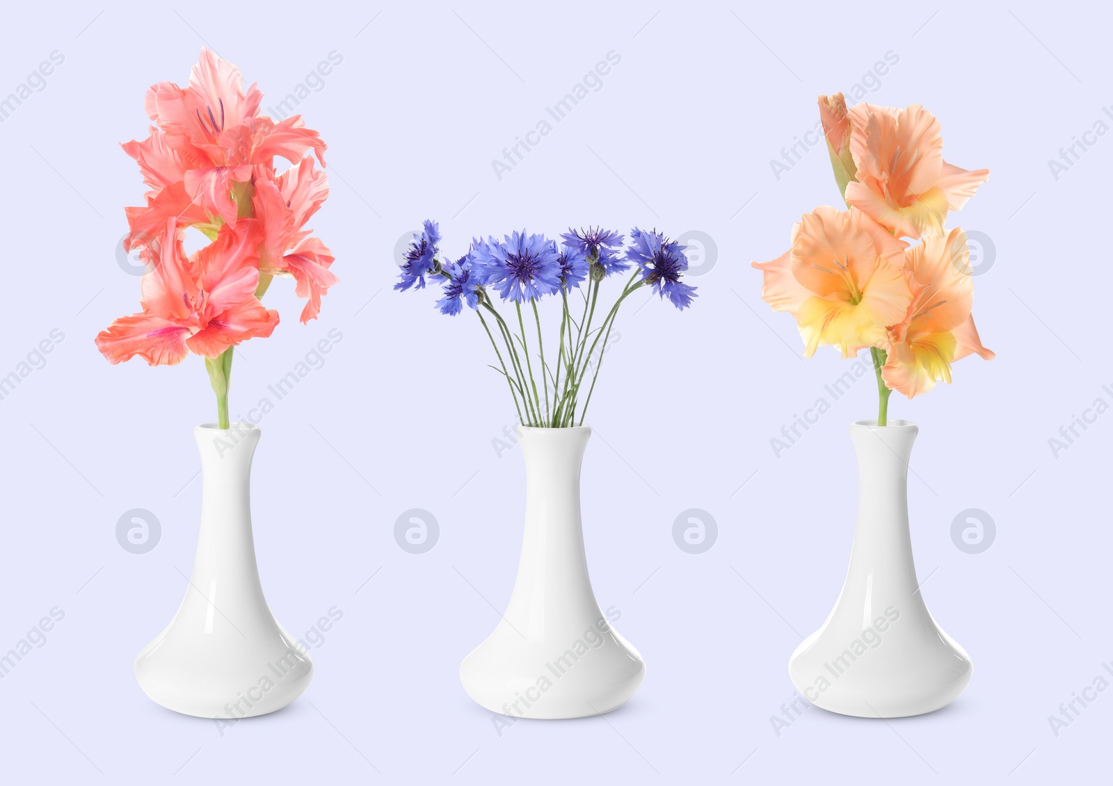 Image of Collage of stylish vase with different bouquets on light grey background