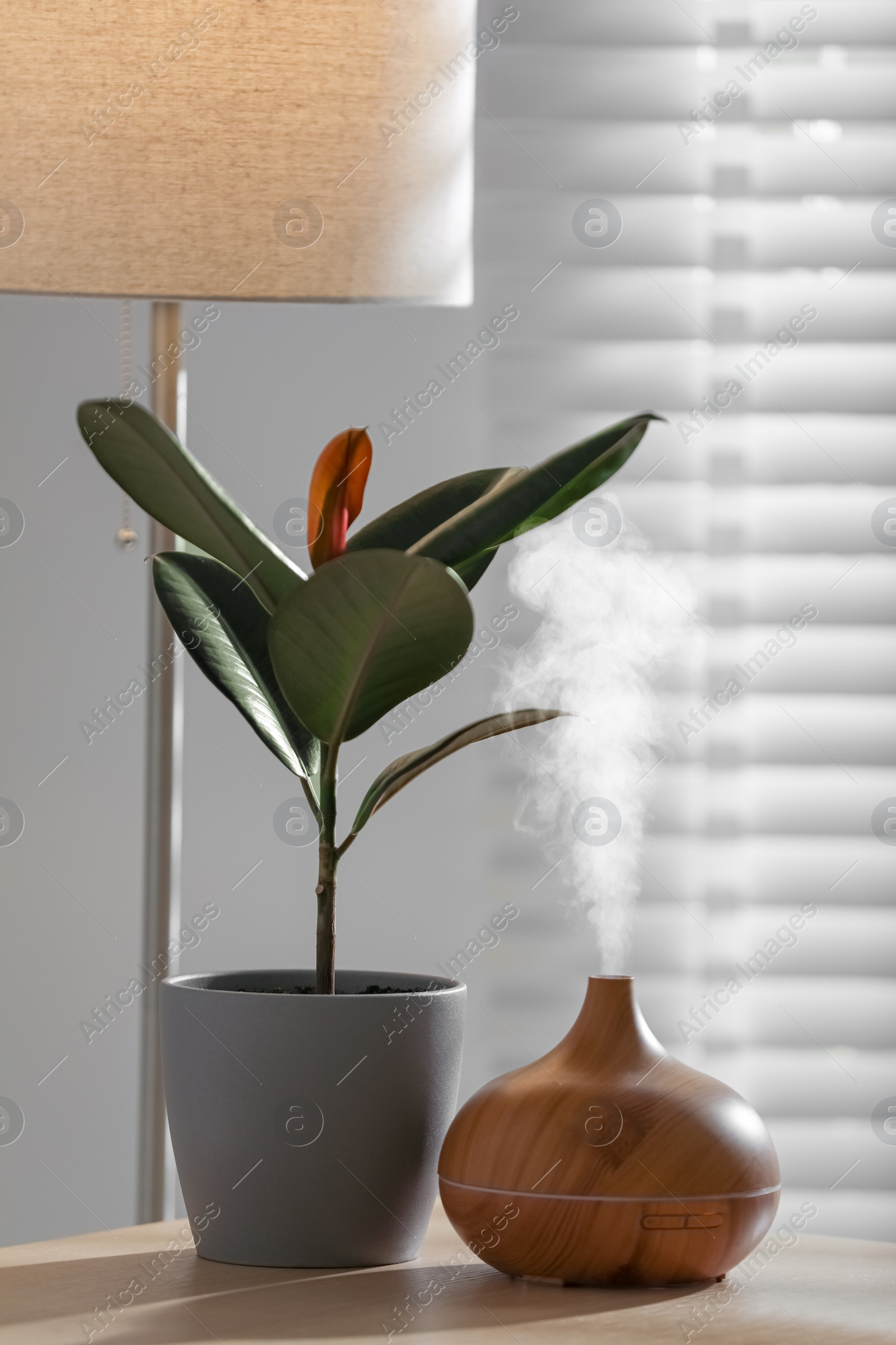 Photo of Air humidifier near beautiful houseplant on wooden table indoors